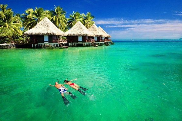 游艇度假，下海游泳之前先看看这个！