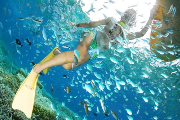 浅谈游艇出海游玩的水肺潜水和浮潜