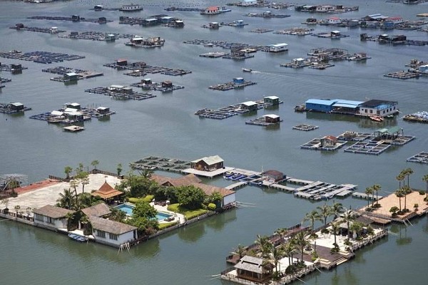 深圳大梅沙游艇会-南澳