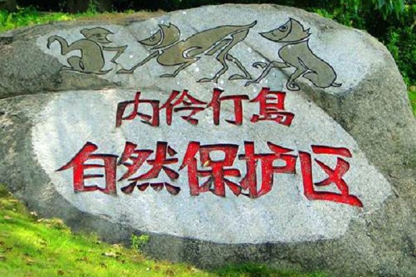 深圳湾——内伶仃岛