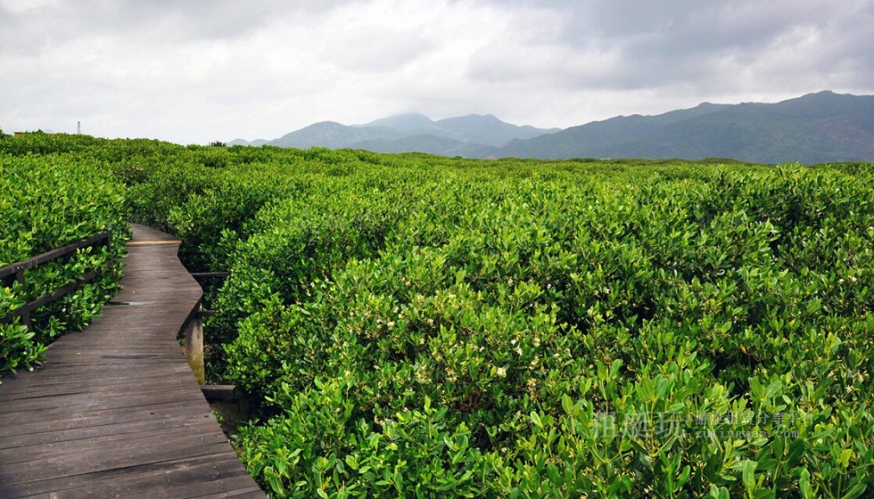 廈門(mén)五緣灣帆船港游艇租賃