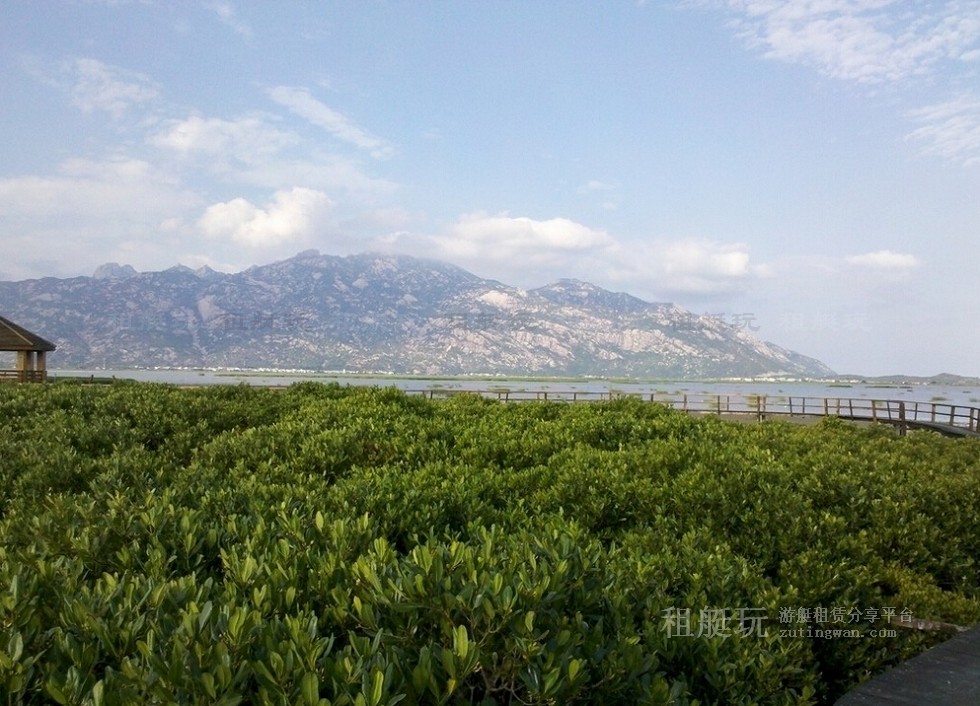 廈門(mén)五緣灣帆船港游艇租賃