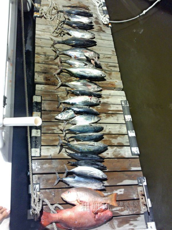 三亞海釣目的地推薦，租艘釣魚艇去海釣吧！